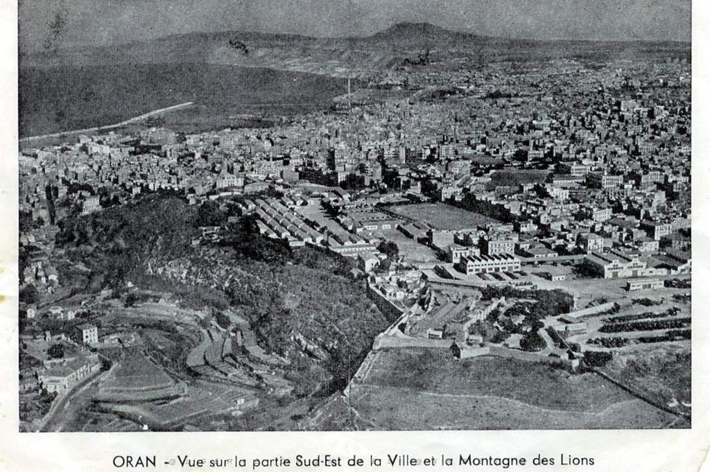 VUE AERIENNE D ORAN PARTIE SUD EST.JPG